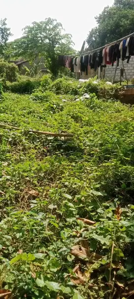 Dijual tanah daerah terwilen Seyegan