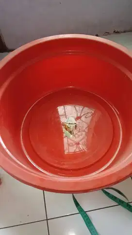 Bak Kamar Mandi