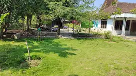 Tanah Daerah Gabus . Pati – 10566