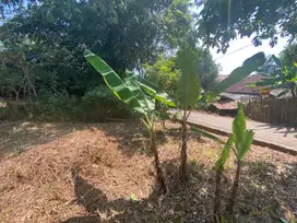 Dijual Murah Tanah Pinggir Jalan Mobil di Campaka Purwakarta