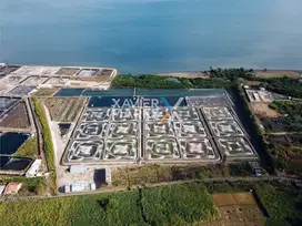 Dijual Tanah Tambak Udang Situbondo Lokasi Pinggir Pantai