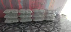 Di cari karyawati