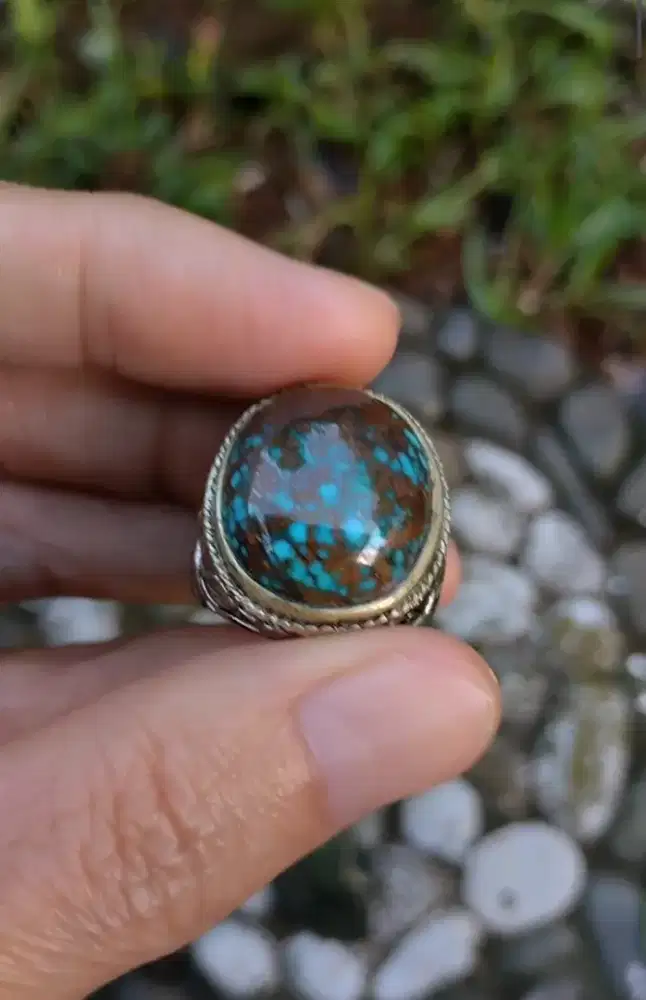 pirus persia lawasan blue fancy ceplok kuro