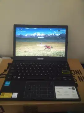 ASUS E210KA-HD4411M 8GB/128GB