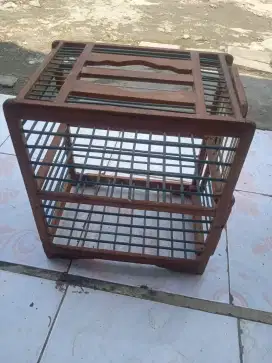 Jual dongdang burung dara