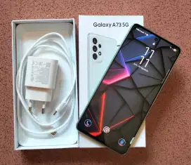 Samsung A73 5G Snapdragon 778G