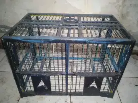 Jual dongdang burung dara