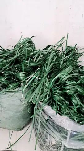 TALI STRAPPING BAND TEBAL HIJAU BEKAS BANDUNG