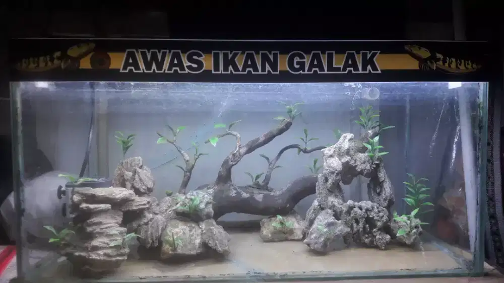 AQuarium Aquascape hardscape