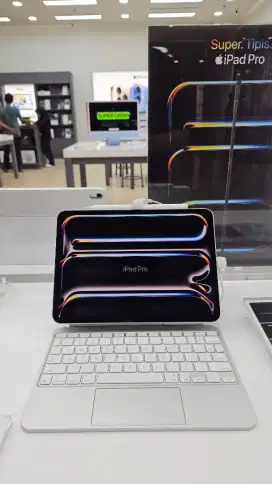 iPad Pro M4 11 inc 256 GB Wifi Only