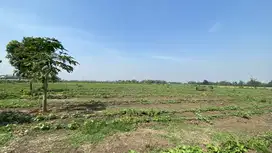 DIJUAL TANAH DAN BANGUNAN RUMAH COCOK UNTUK PERUMAHAN