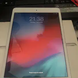 Ipad mini wifi cell 16 gb silver