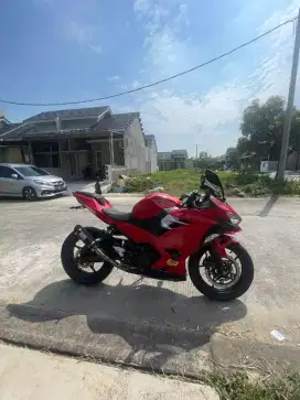 NINJA F1 250 2019