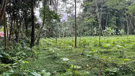 DIJUAL CEPAT TANAH MURAH
