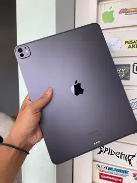 iPad Pro M4 13”
