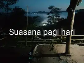 Dijual murah tanah kebun dan sawah