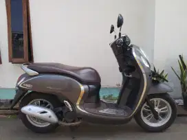 Scoopy new 2021 kyles pajak hidup