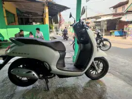 Scoopy Prestige Keyless