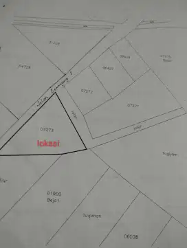 Tanah pekarangan 21x19 lokasi metro 29