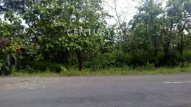 Jual Cepat Tanah Strategis Di Karangmojo Gunung Kidul Yogyakarta S8938