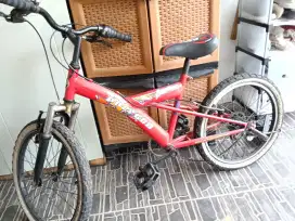 Sepeda anak Polygon
