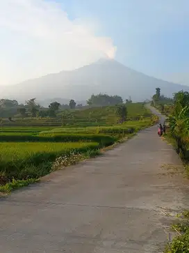 TANAH WISATA PACET SHM 5.334 M²