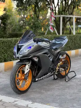 Kawasaki Ninja 250 RR