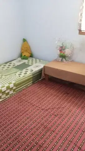 Kos - kosan Murah area POLINES, UNDIP, POLTEKKES, POLITEKNIK PU