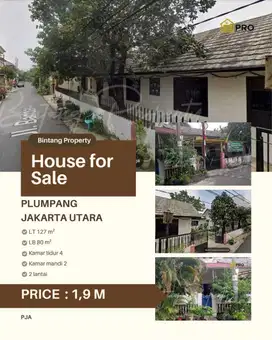 Plumpang, Jakarta Pusat, strategis, harga murah