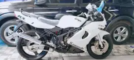 Kawasaki ninja rr CKD (albino)