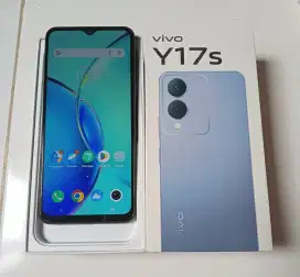 VIVO Y17S 6/128 (mulus)