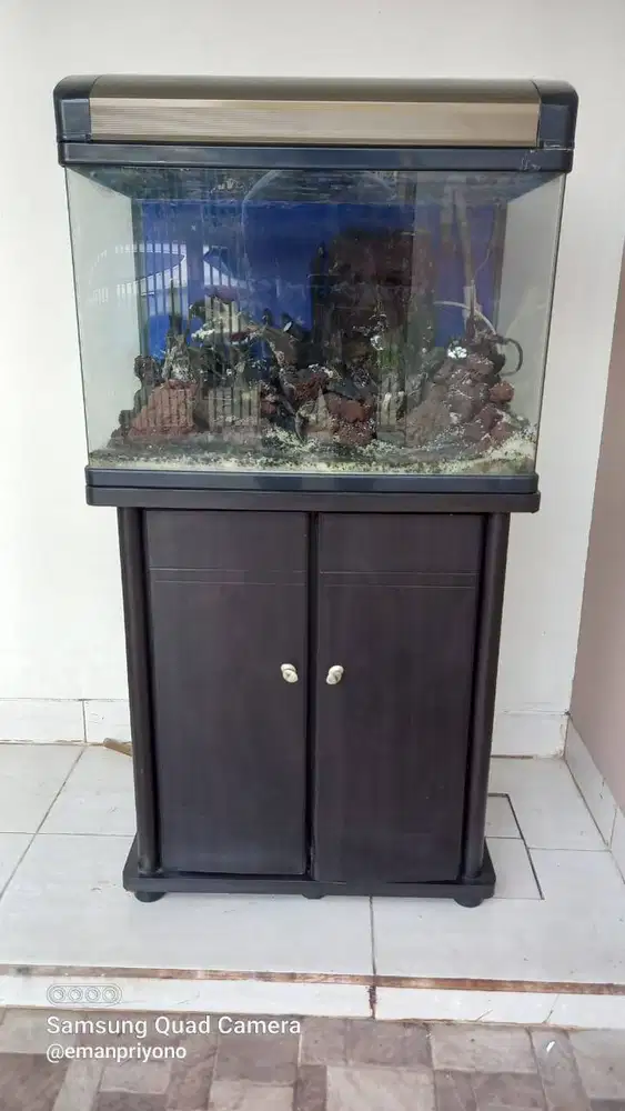Aquarium Aqua Scape Merk Boyu