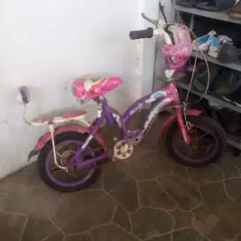Jual sepeda anak harga nego