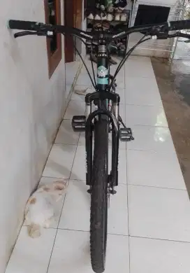 Dijual cepat sepeda