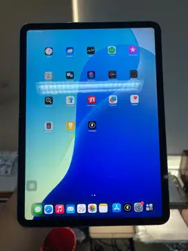 iPad Pro 2018 64GB Wifi No Minus Normal