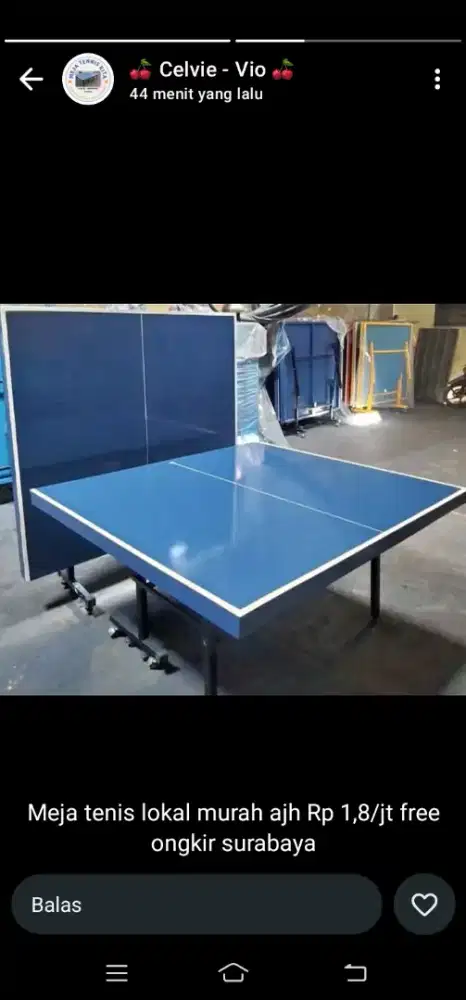 Tenis meja baru SNI wa