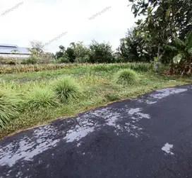 Tanah SHM 177m², Lebar Depan 8.5m Dekat Pasar Rejodani Sleman