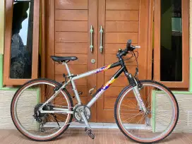 Polygon xtrada 1 trend series upgrade