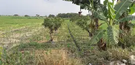 LAHAN BYPASS MOJOKERTO
