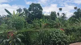 Di Jual Tanah Murah di Mekarwangi Cisauk Tangerang Banten
