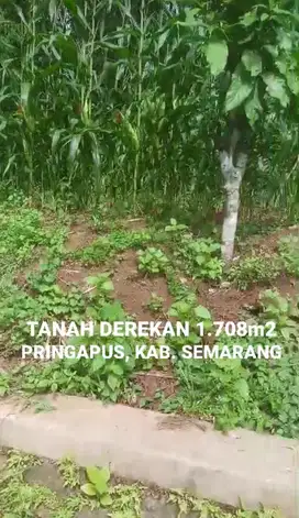 DIJUAL TANAH SEBELAH PERUMAHAN KLEPU PINGAPUS