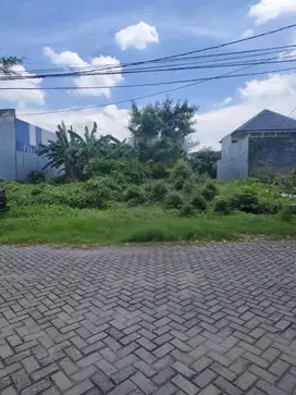 ‼️LANGKA,MURAH‼️Tanah Siap Bangun UK (10X24,8) diGayungsari Barat SBY.