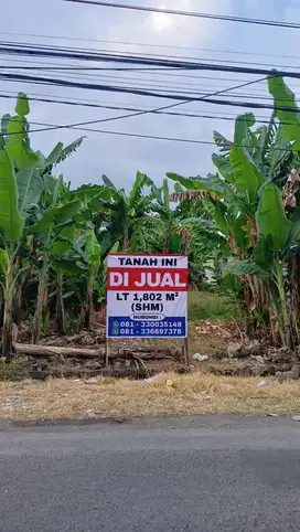 DIJUAL TANAH 3,5JT PER METER. TOTAL 1802 METER DAERAH SEDATI