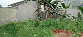 Tanah kawasan Gading Serpong siap bangun