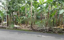 Kav hadap selatan barat, 18x20 di Citra Garden 1 ex