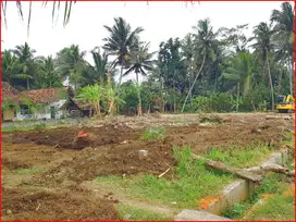 Dekat Bandara YIA, Tanah Jogja Bojong Kulon Progo