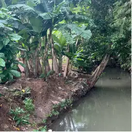 Di jual tanah los sungai luasan kecil di tanah lot tabanan