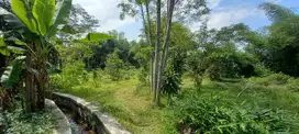 JUAL MURAH TANAH SAWAH GLAGAH OMBO TALUN BLITAR