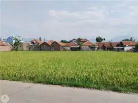Tanah Sawah Luas Strategis Mainroad Ciparay Kab Bandung