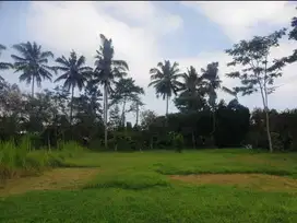Tanah termurah di pejeng full view sawah abadi